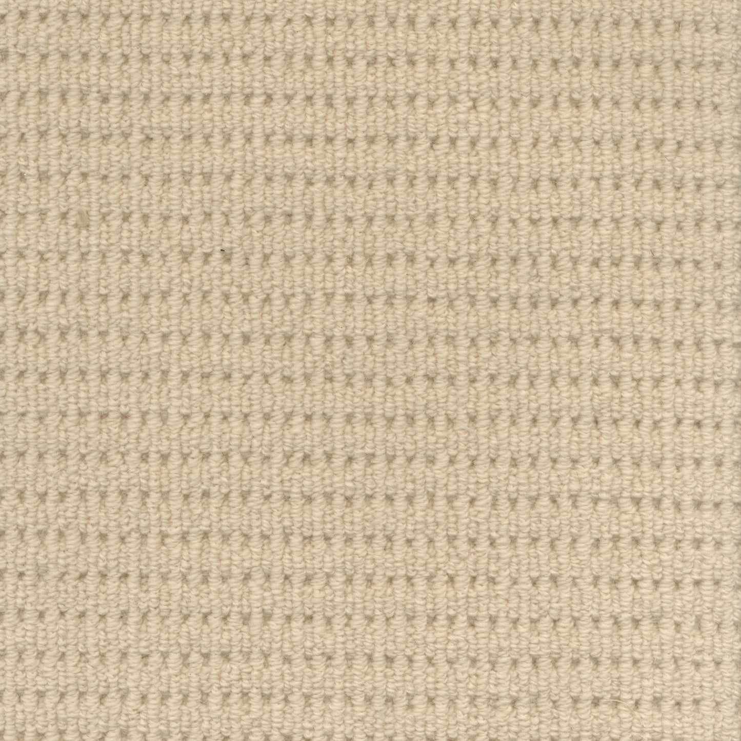 Myall Lakes Loop Carpet