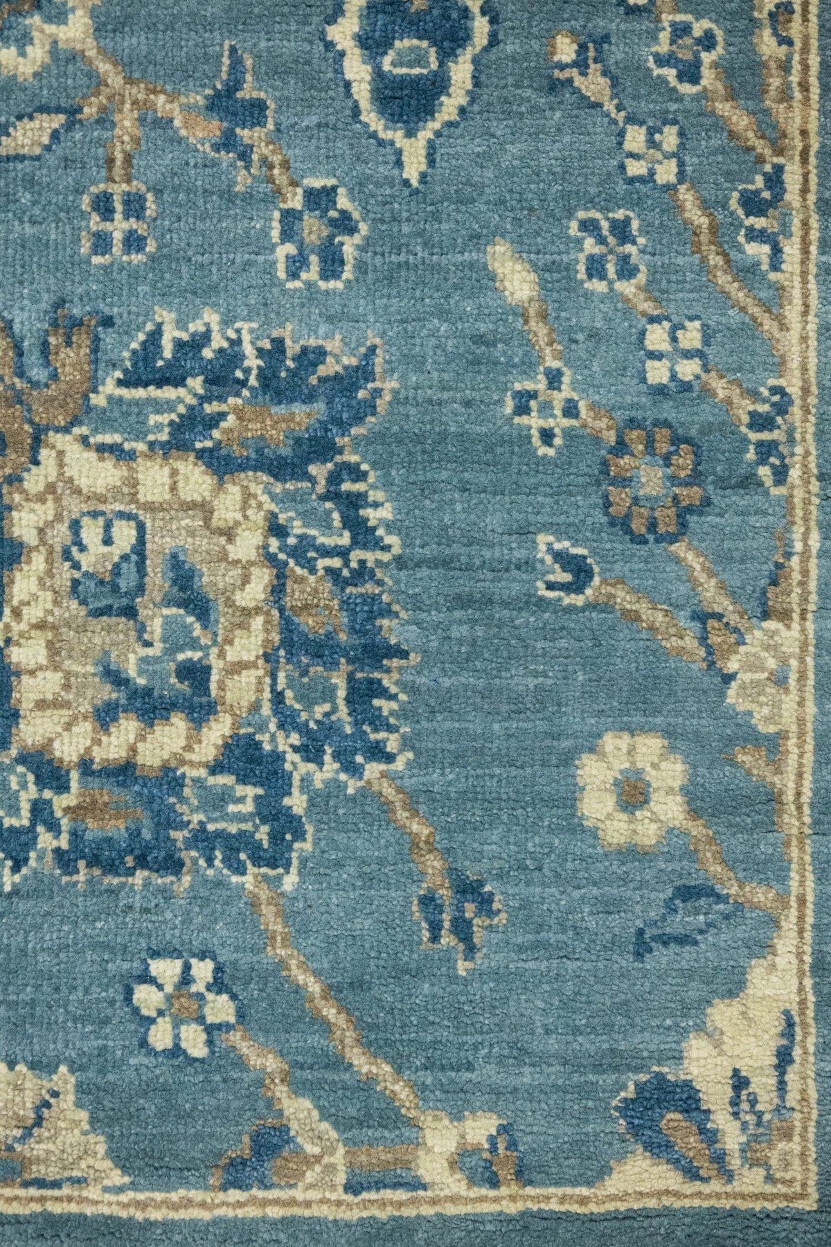 Agra Handwoven Transitional Rug, J87033