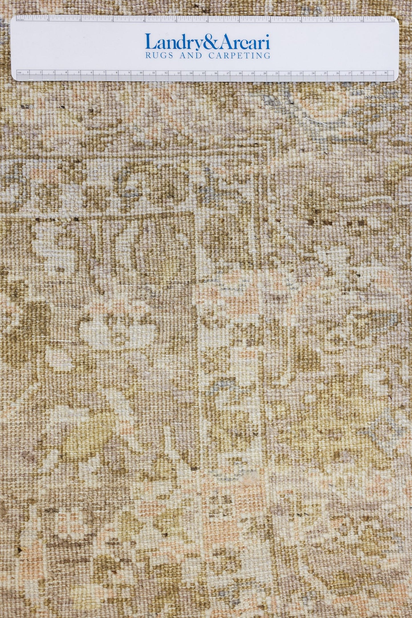 Amritsar Handwoven Transitional Rug, J80024