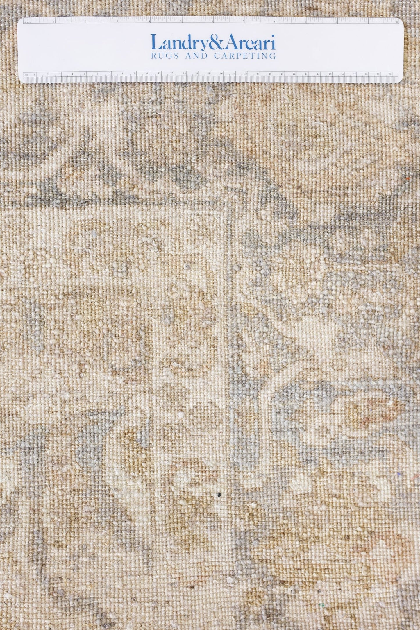 Amritsar Handwoven Transitional Rug, J80033