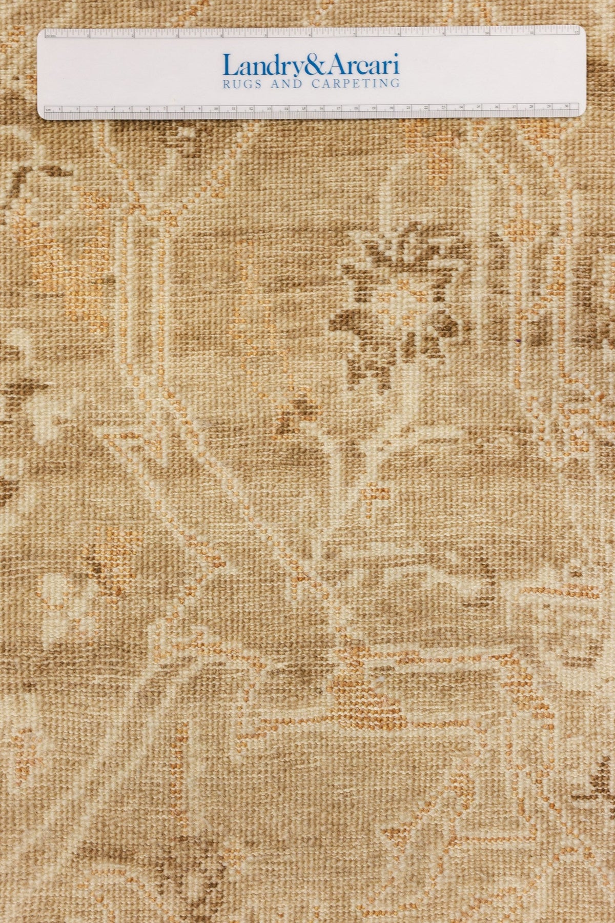 Amritsar Handwoven Transitional Rug, J80926