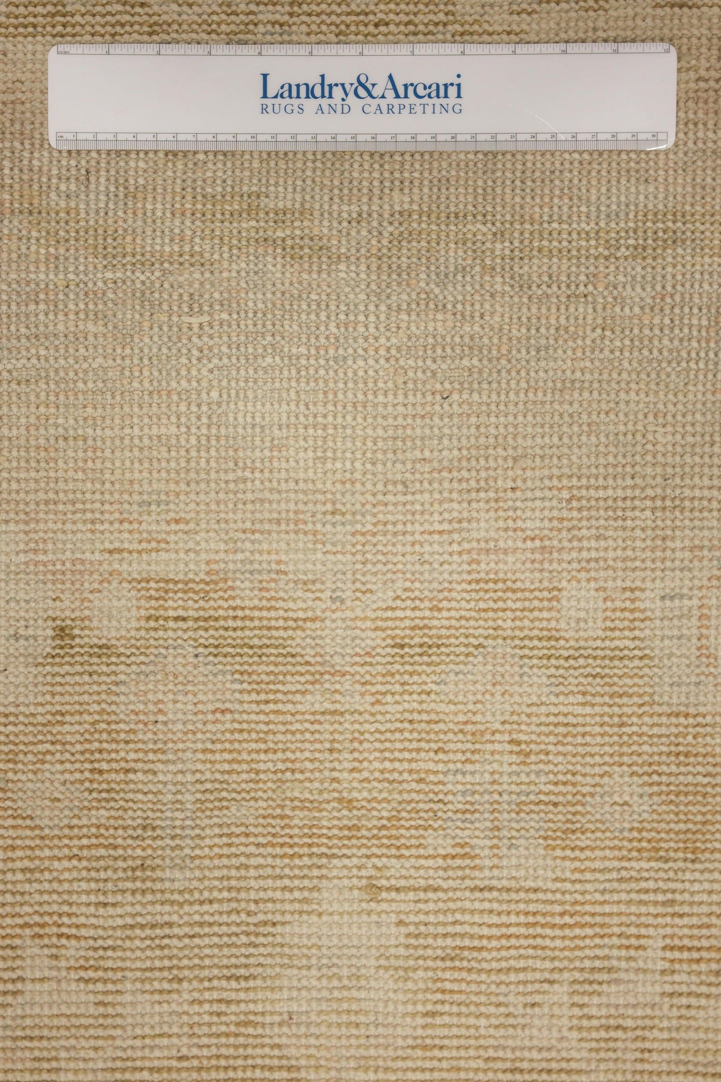 Bakshaish Handwoven Transitional Rug, J70179