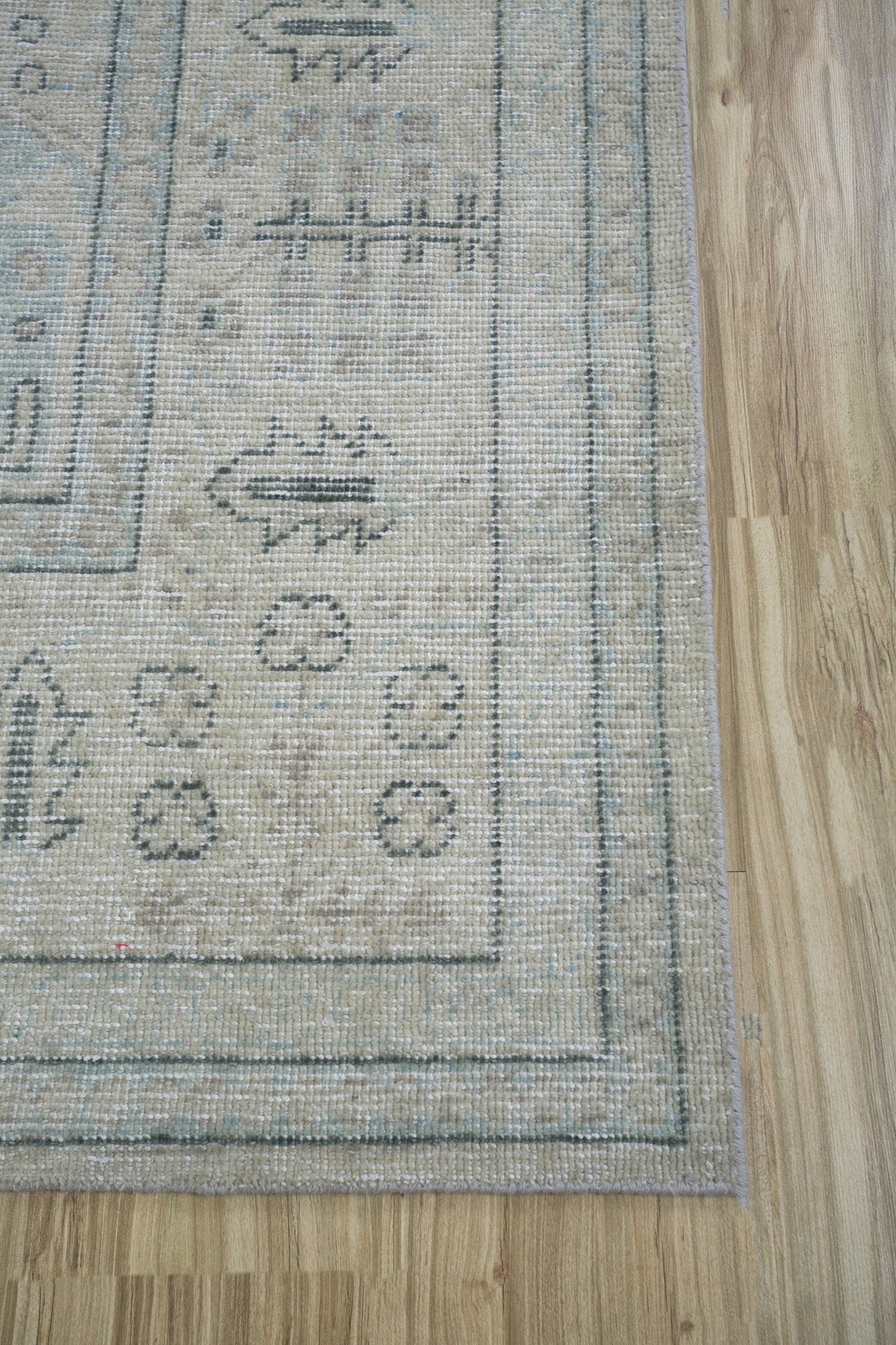 Ferahan Handwoven Transitional Rug, J70200