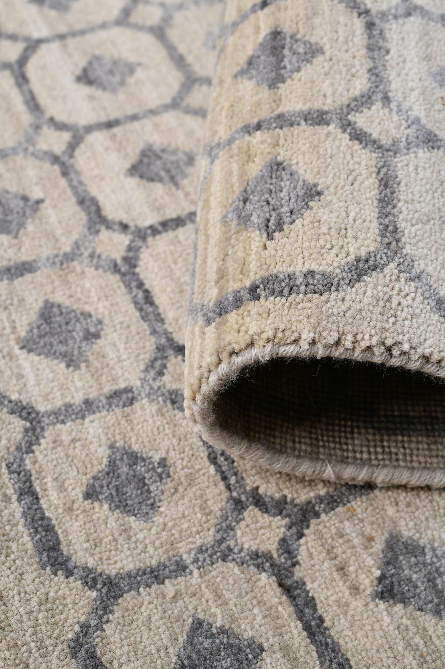 Florentine Handwoven Transitional Rug, J76337