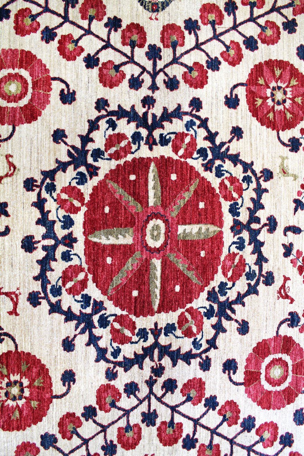Suzani Handwoven Transitional Rug, 60059