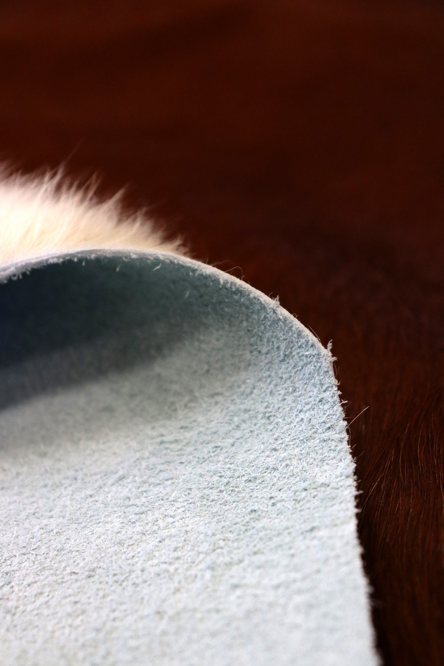 Whole CowhideContemporary Rug, J65361