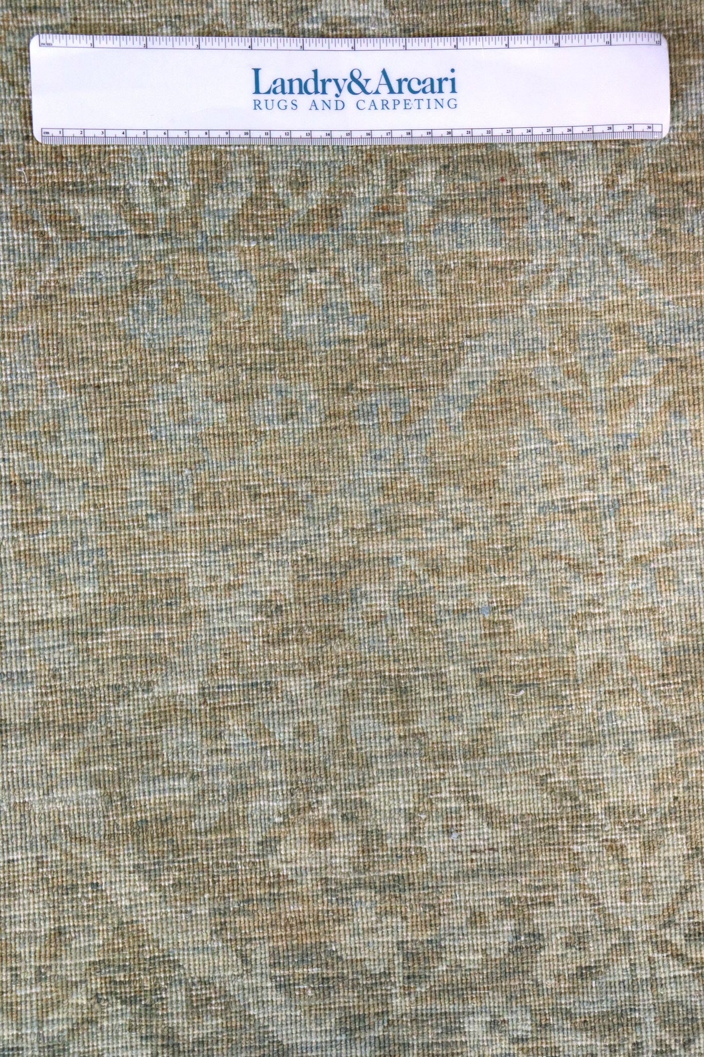 Diamond Trellis Handwoven Transitional Rug, J64378