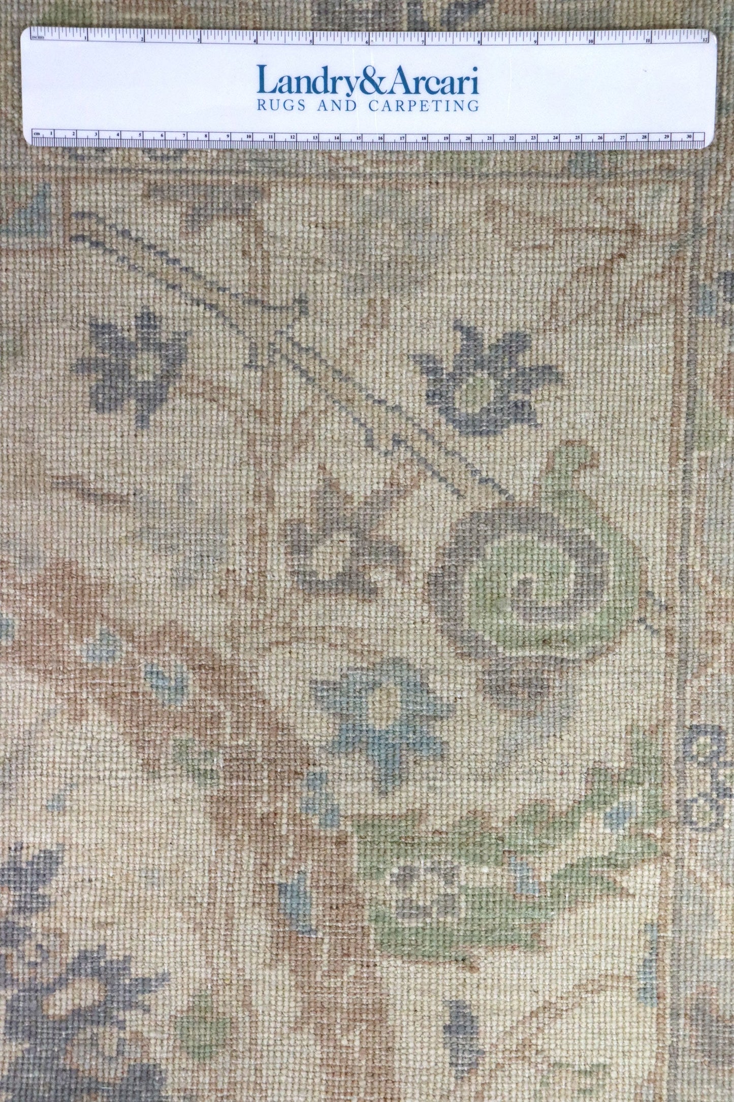 Sickle Leaf Handwoven Transitional Rug, J64515