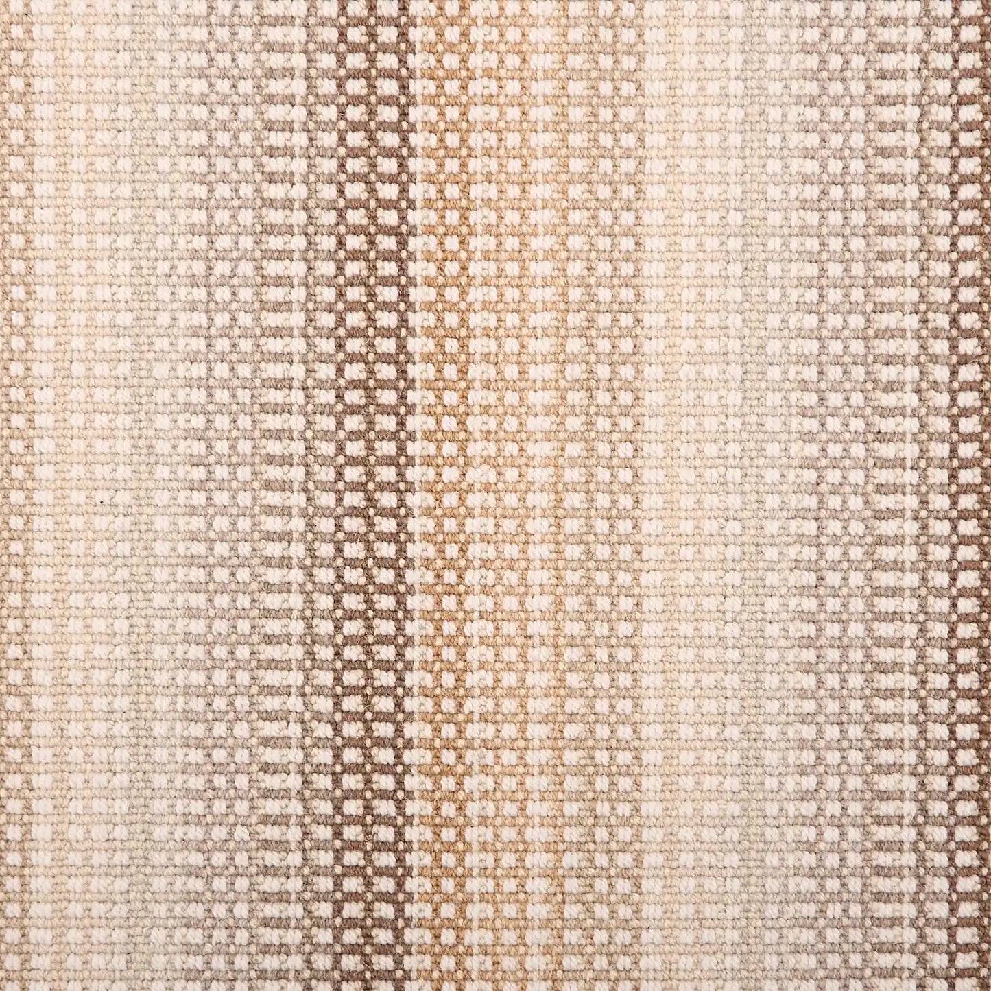 Ava Looped Carpet