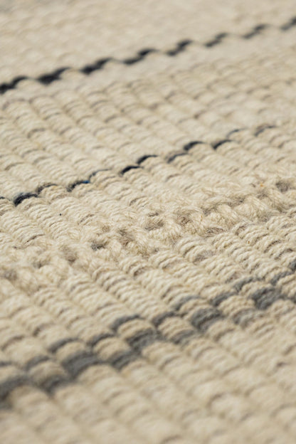 Chapan Stripe Handwoven Contemporary Rug, M88683