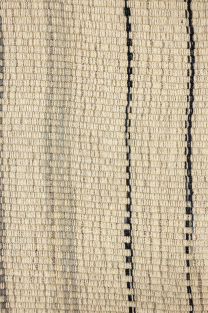 Chapan Stripe Handwoven Contemporary Rug, M88683