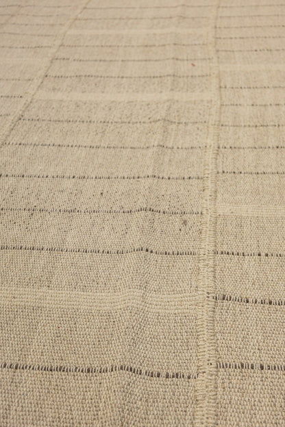Chapan Stripe Handwoven Contemporary Rug, M88691