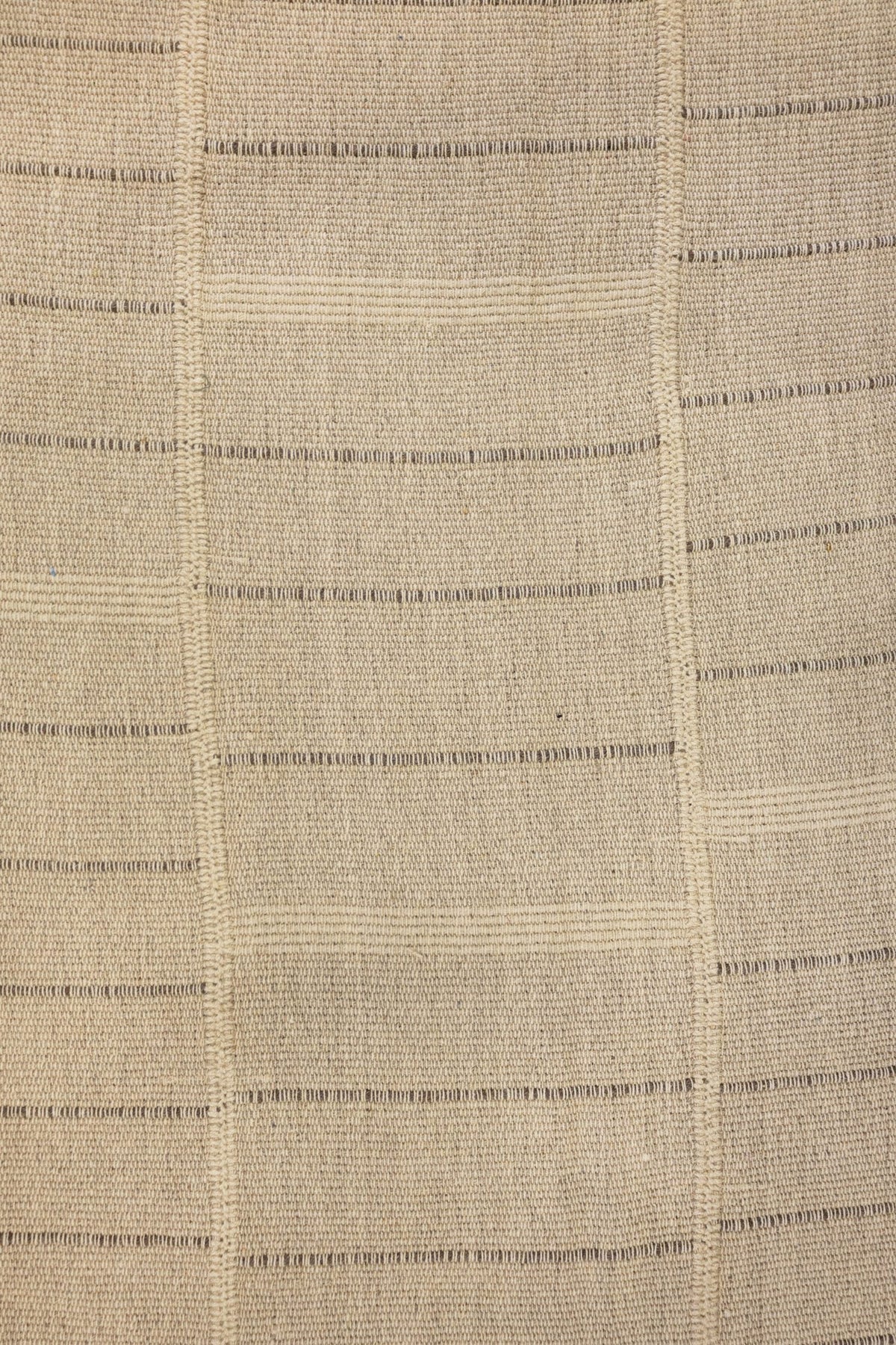Chapan Stripe Handwoven Contemporary Rug, M88691