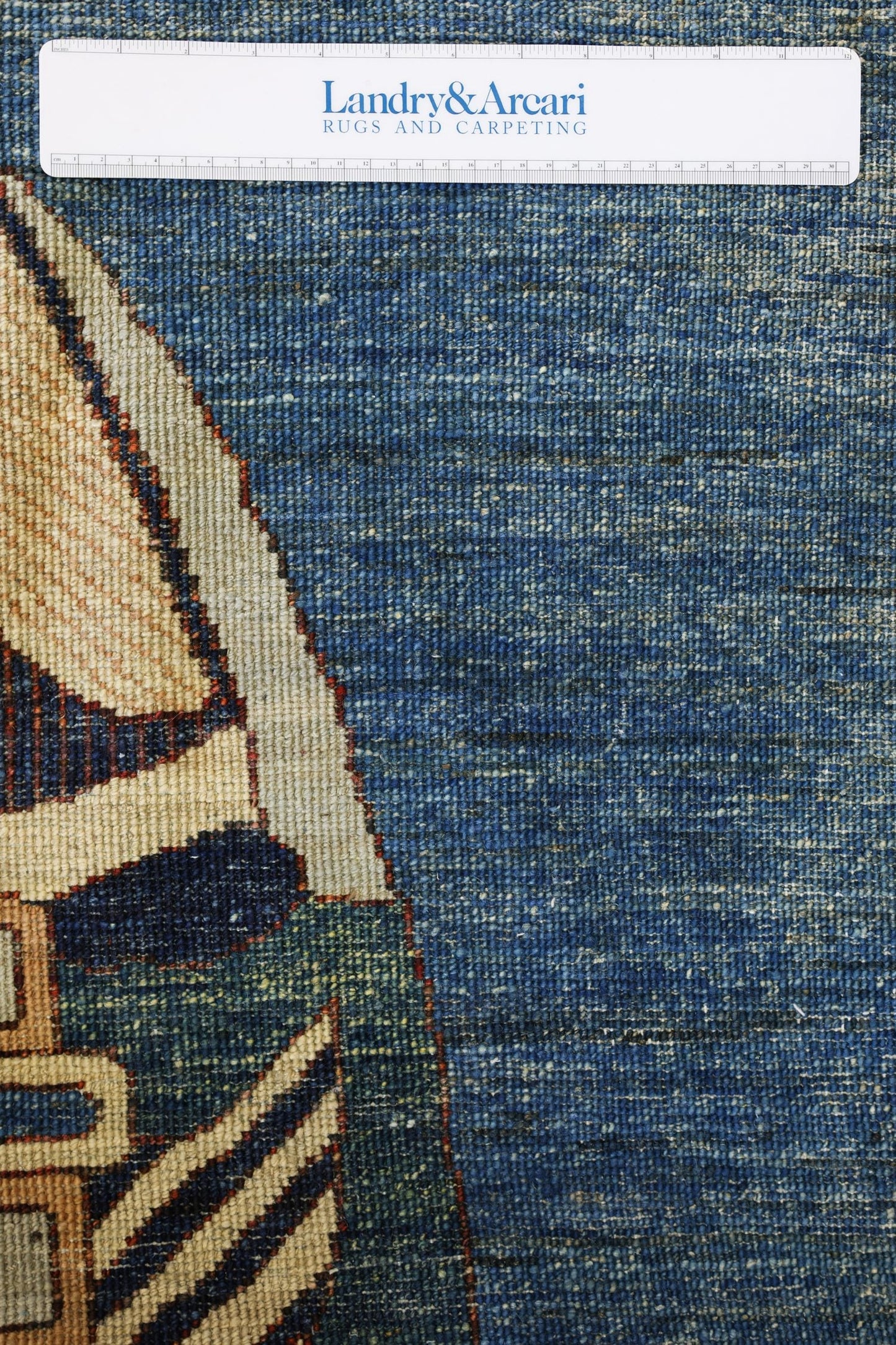 Large Fish Handwoven Contemporary Rug, J80301