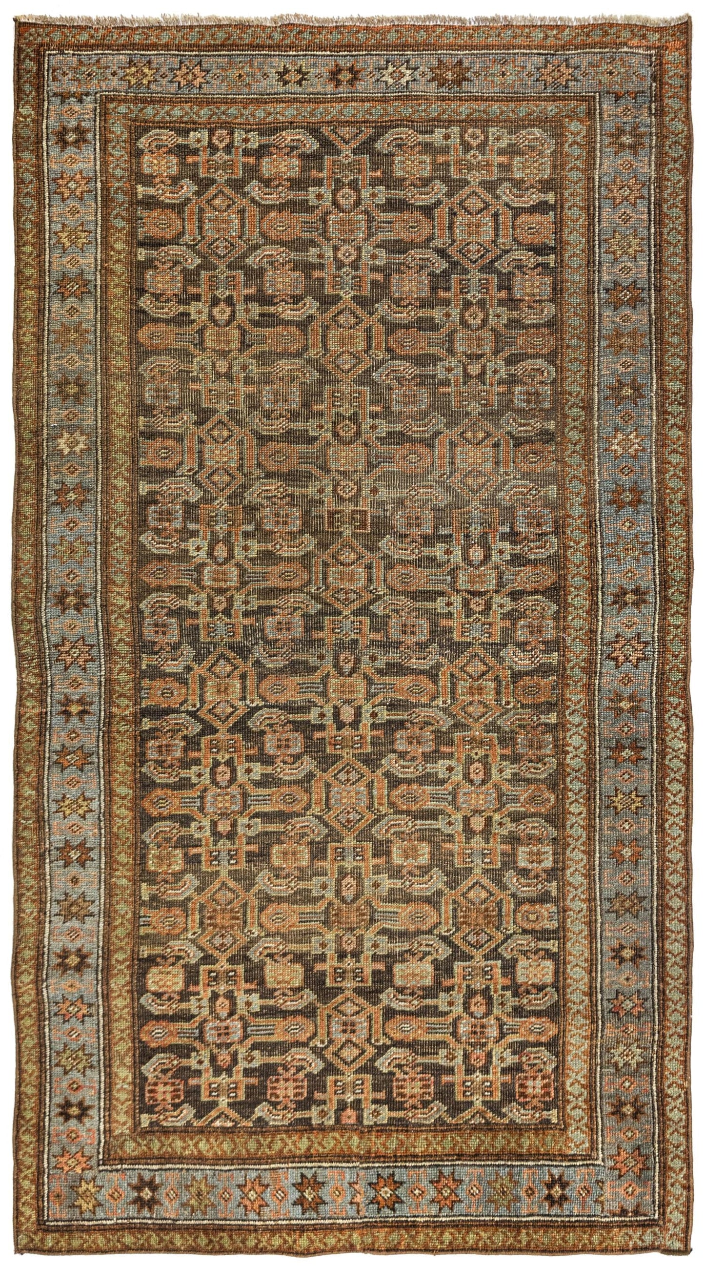 Vintage Bijar Handwoven Traditional Rug