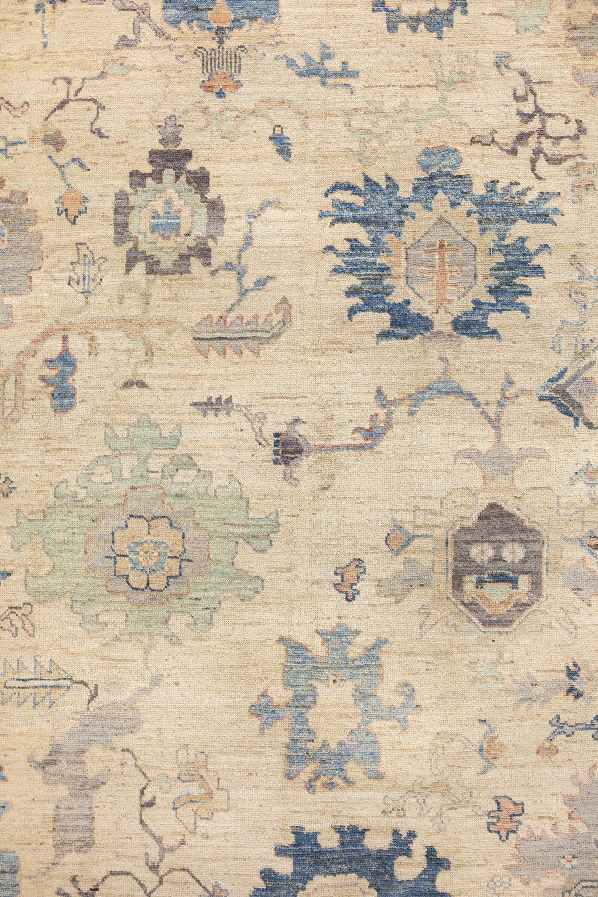 Oushak Handwoven Traditional Rug, J86836