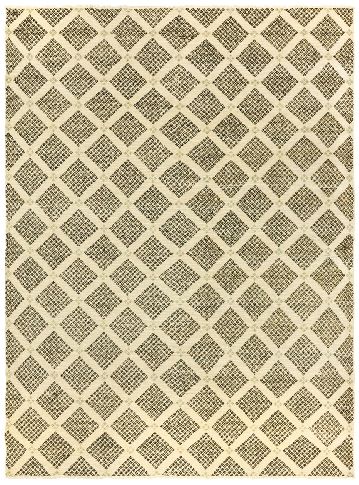  Handwoven Transitional Rug