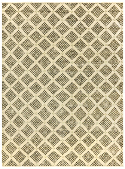  Handwoven Transitional Rug