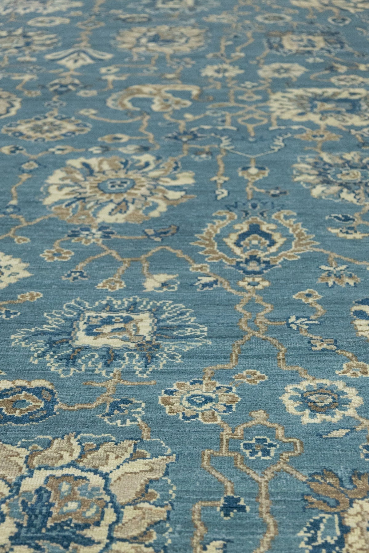 Agra Handwoven Transitional Rug, J87033