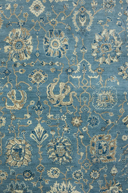 Agra Handwoven Transitional Rug, J87033