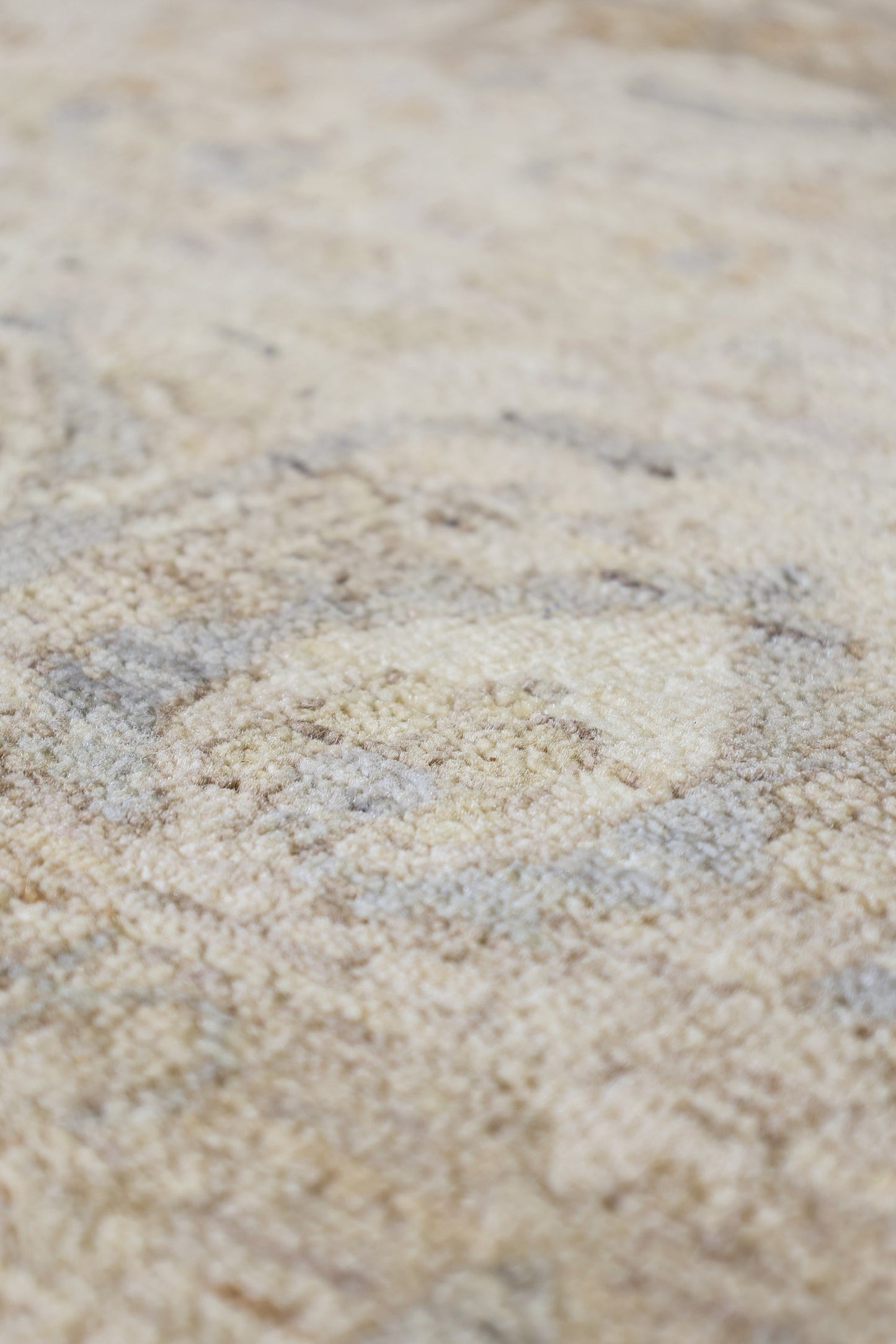 Amritsar Handwoven Transitional Rug, J80033