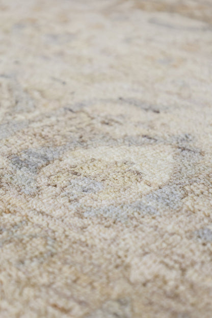 Amritsar Handwoven Transitional Rug, J80033