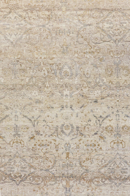 Amritsar Handwoven Transitional Rug, J80033