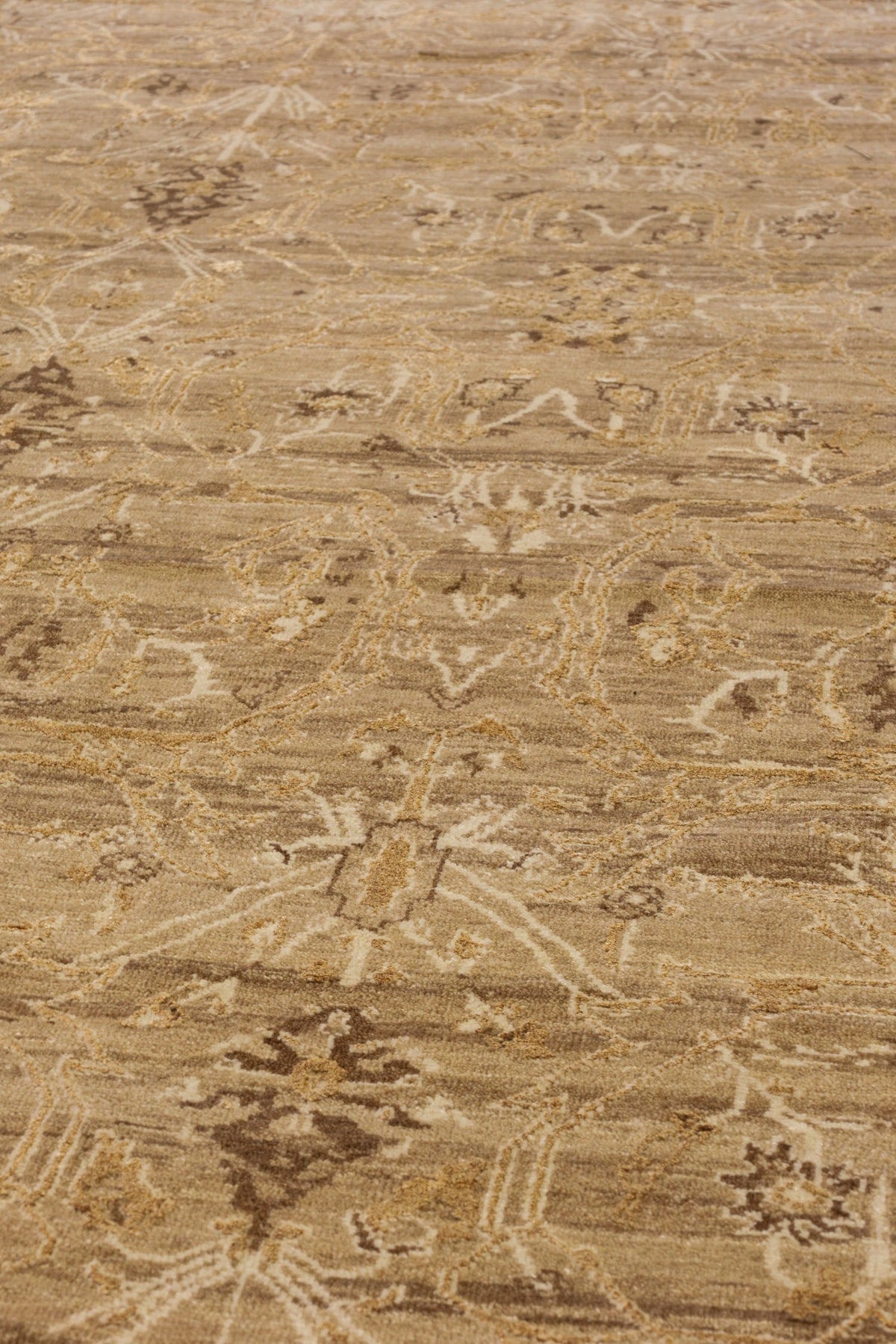 Amritsar Handwoven Transitional Rug, J80926
