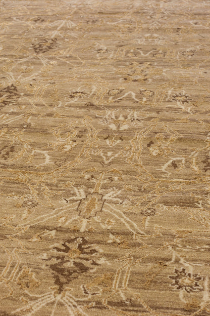 Amritsar Handwoven Transitional Rug, J80926