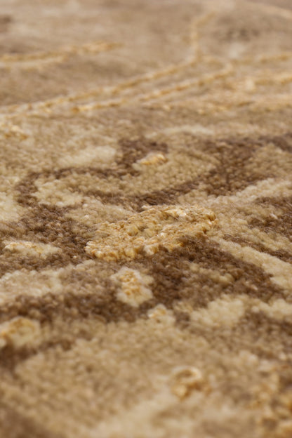 Amritsar Handwoven Transitional Rug, J80926