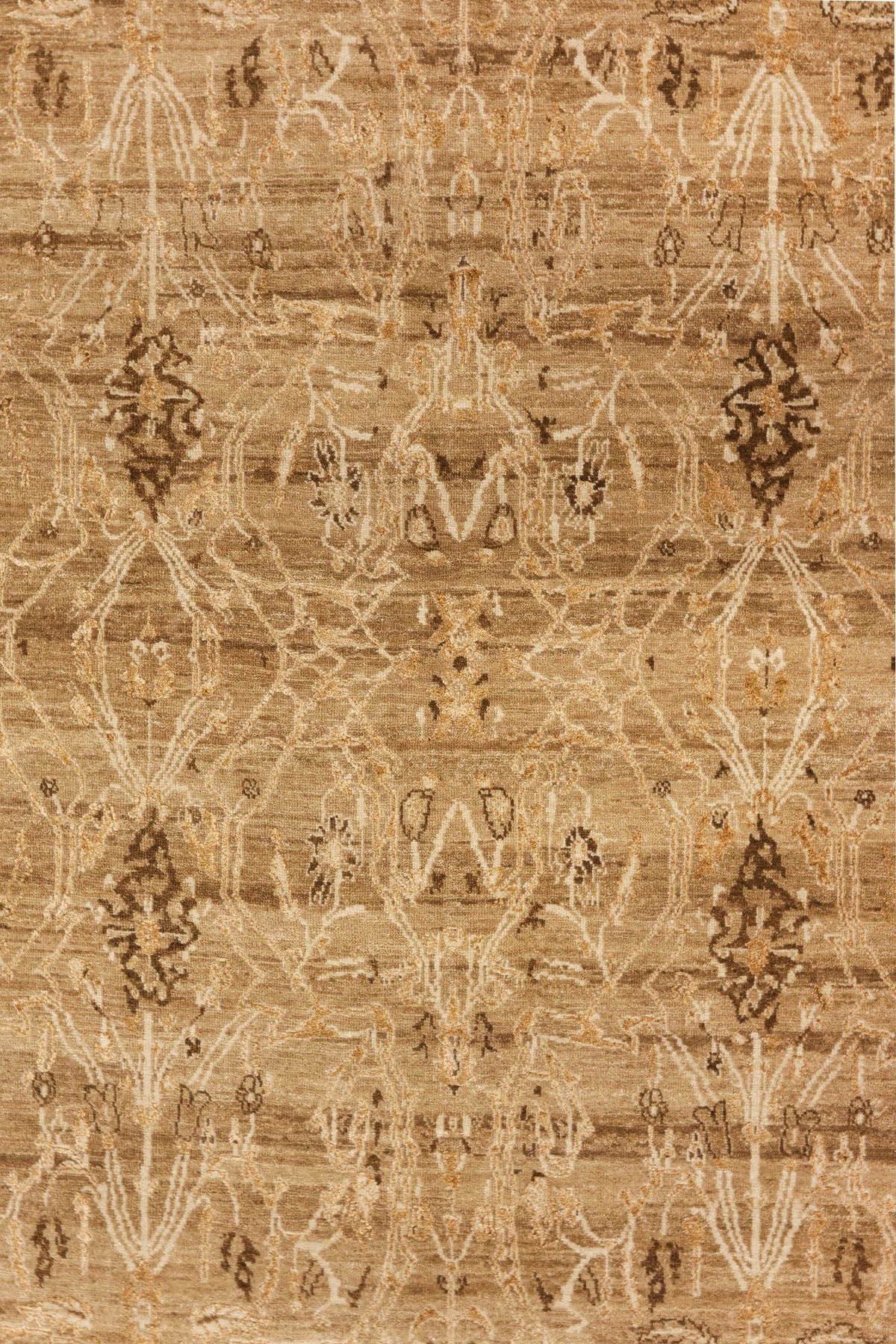 Amritsar Handwoven Transitional Rug, J80926
