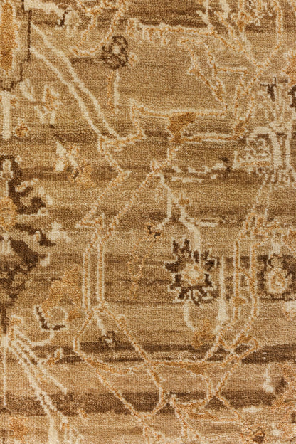 Amritsar Handwoven Transitional Rug, J80926