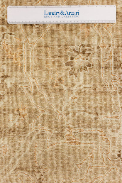 Amritsar Handwoven Transitional Rug, J80926