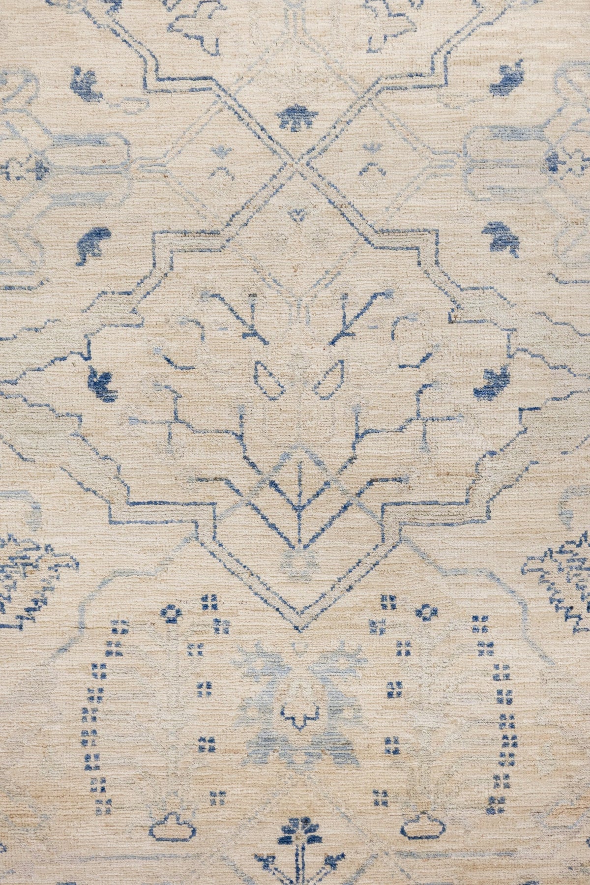 Arabesque Handwoven Transitional Rug, J86852