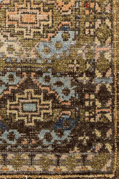 Ersari Gul Handwoven Transitional Rug, J80619