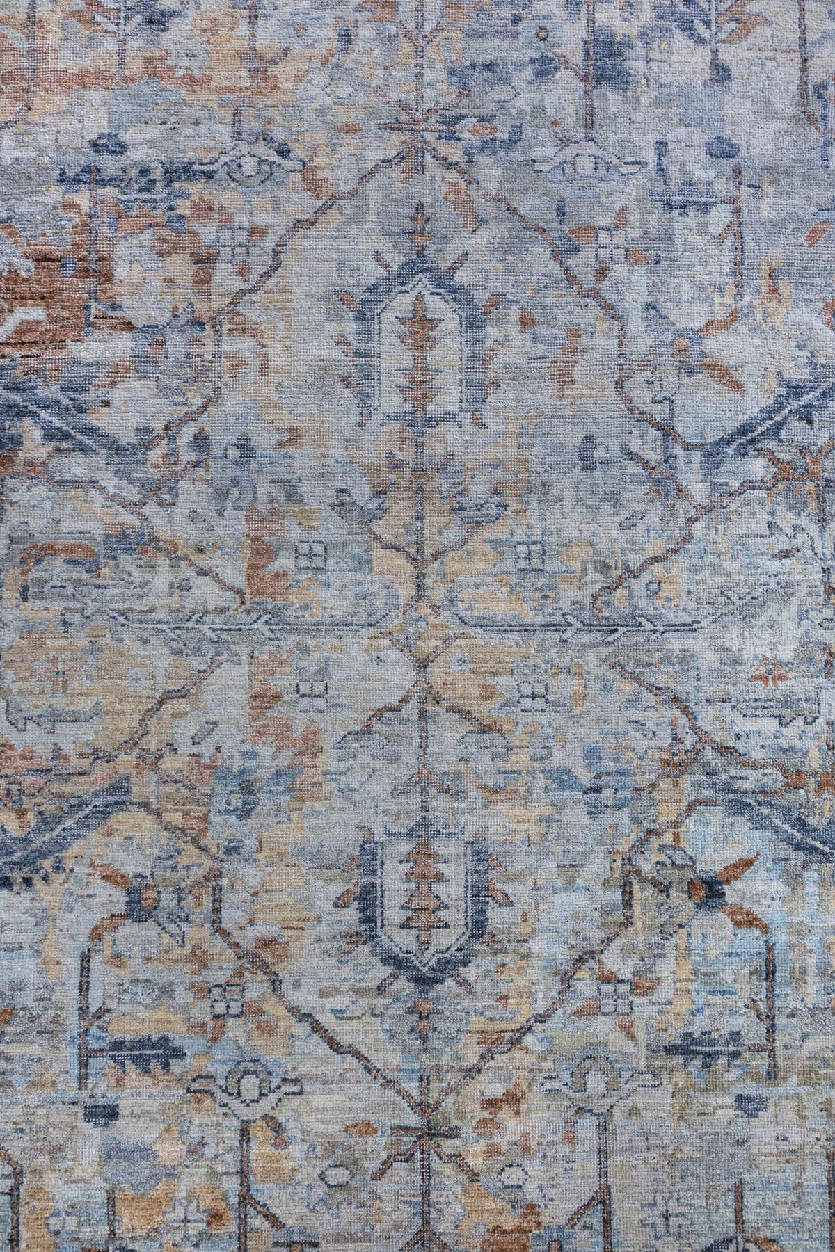Gorevan Handwoven Transitional Rug, J86923