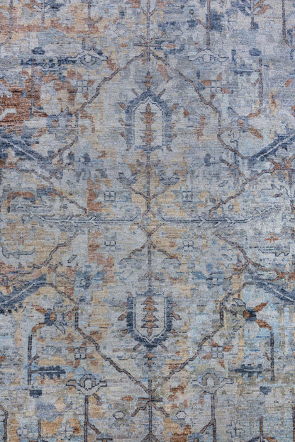 Gorevan Handwoven Transitional Rug, J86923