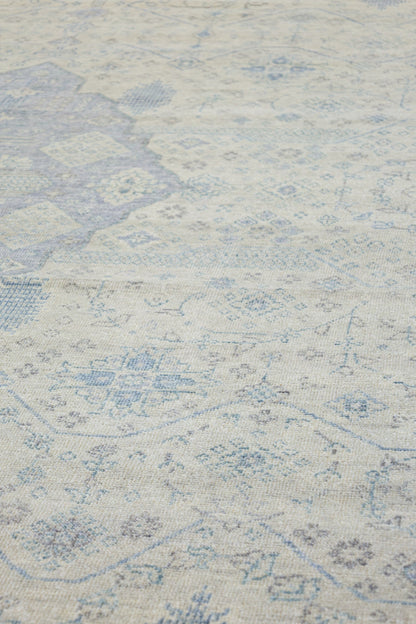 Joshaqan Handwoven Transitional Rug, J79973