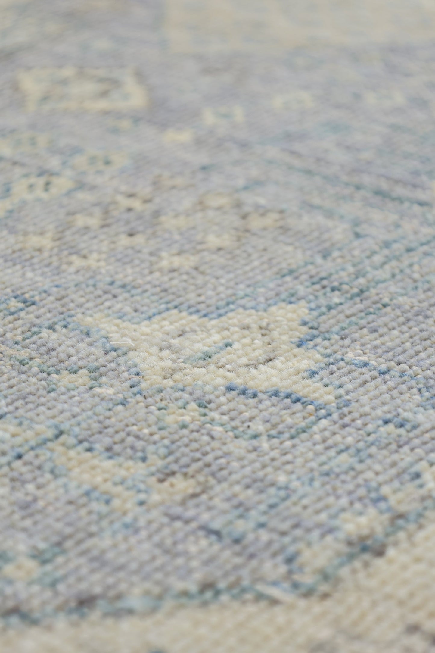 Joshaqan Handwoven Transitional Rug, J79973