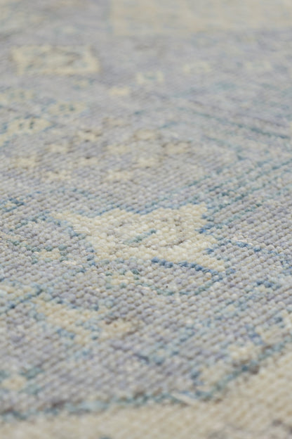Joshaqan Handwoven Transitional Rug, J79973
