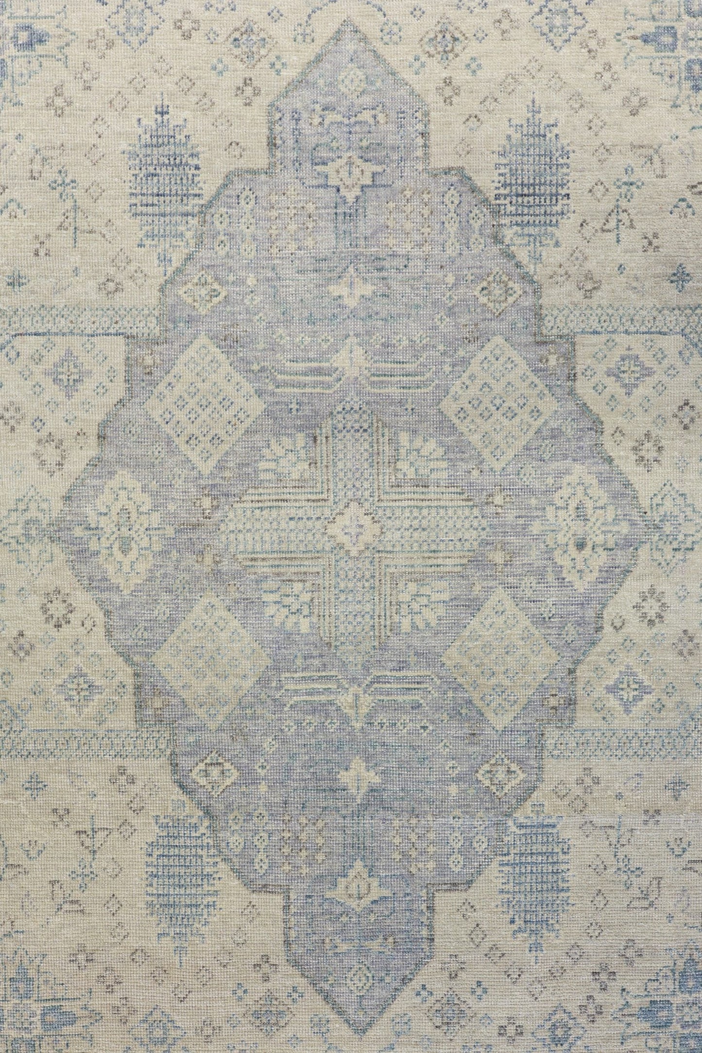 Joshaqan Handwoven Transitional Rug, J79973