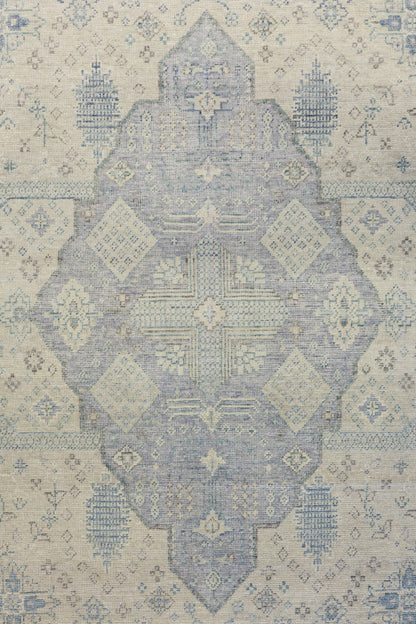 Joshaqan Handwoven Transitional Rug, J79973
