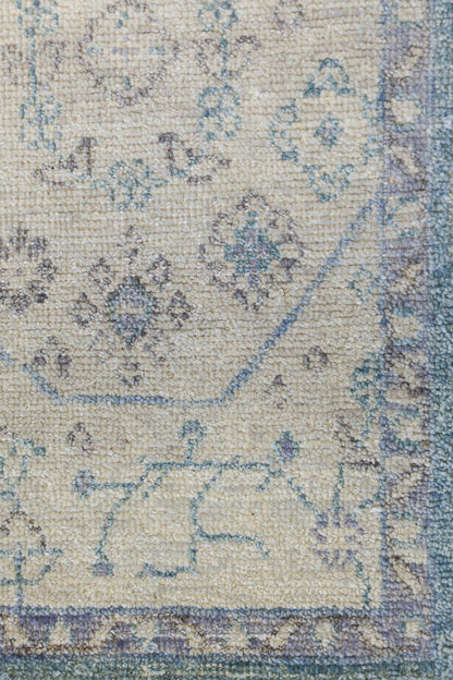 Joshaqan Handwoven Transitional Rug, J79973