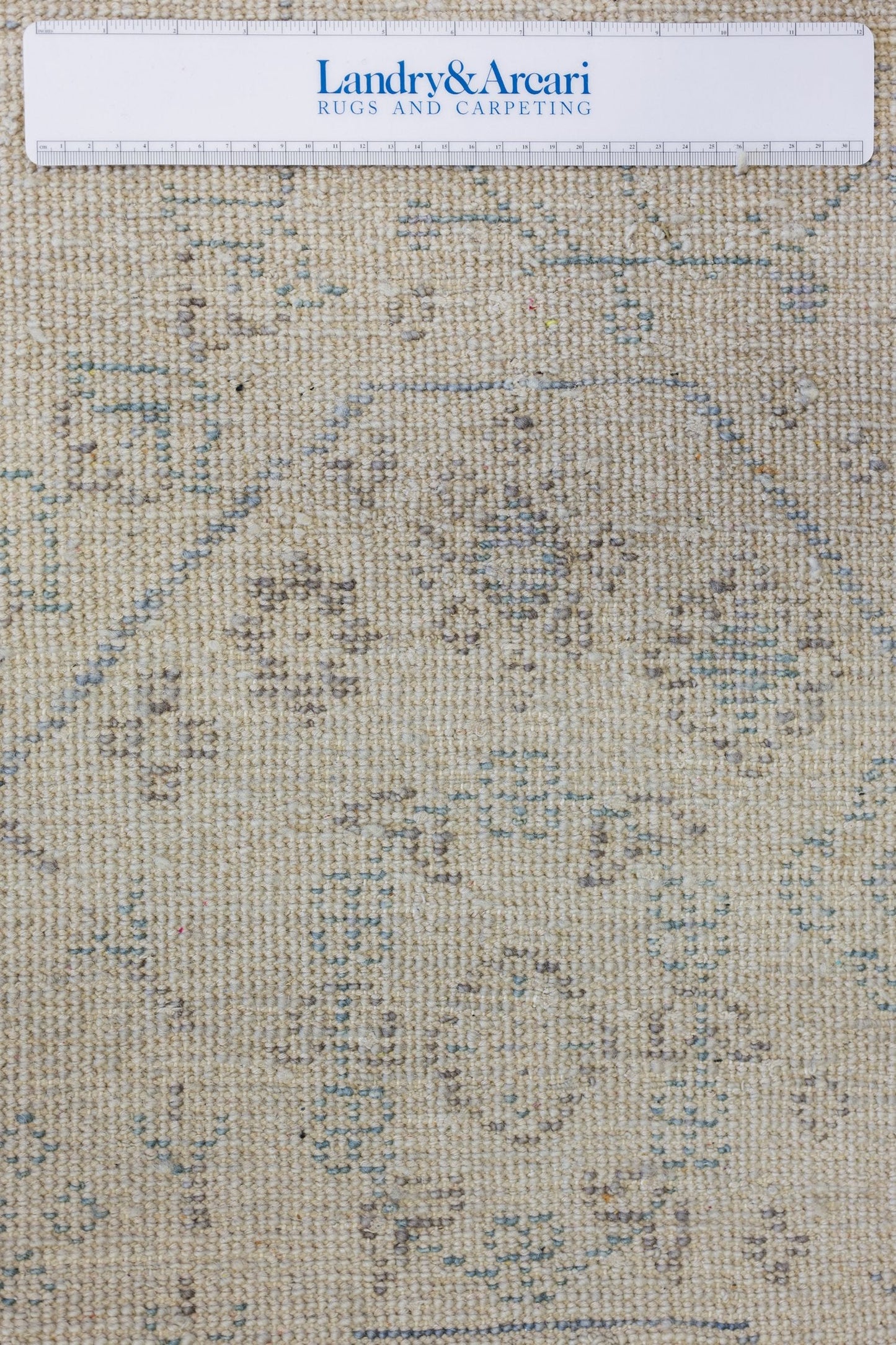 Joshaqan Handwoven Transitional Rug, J79973