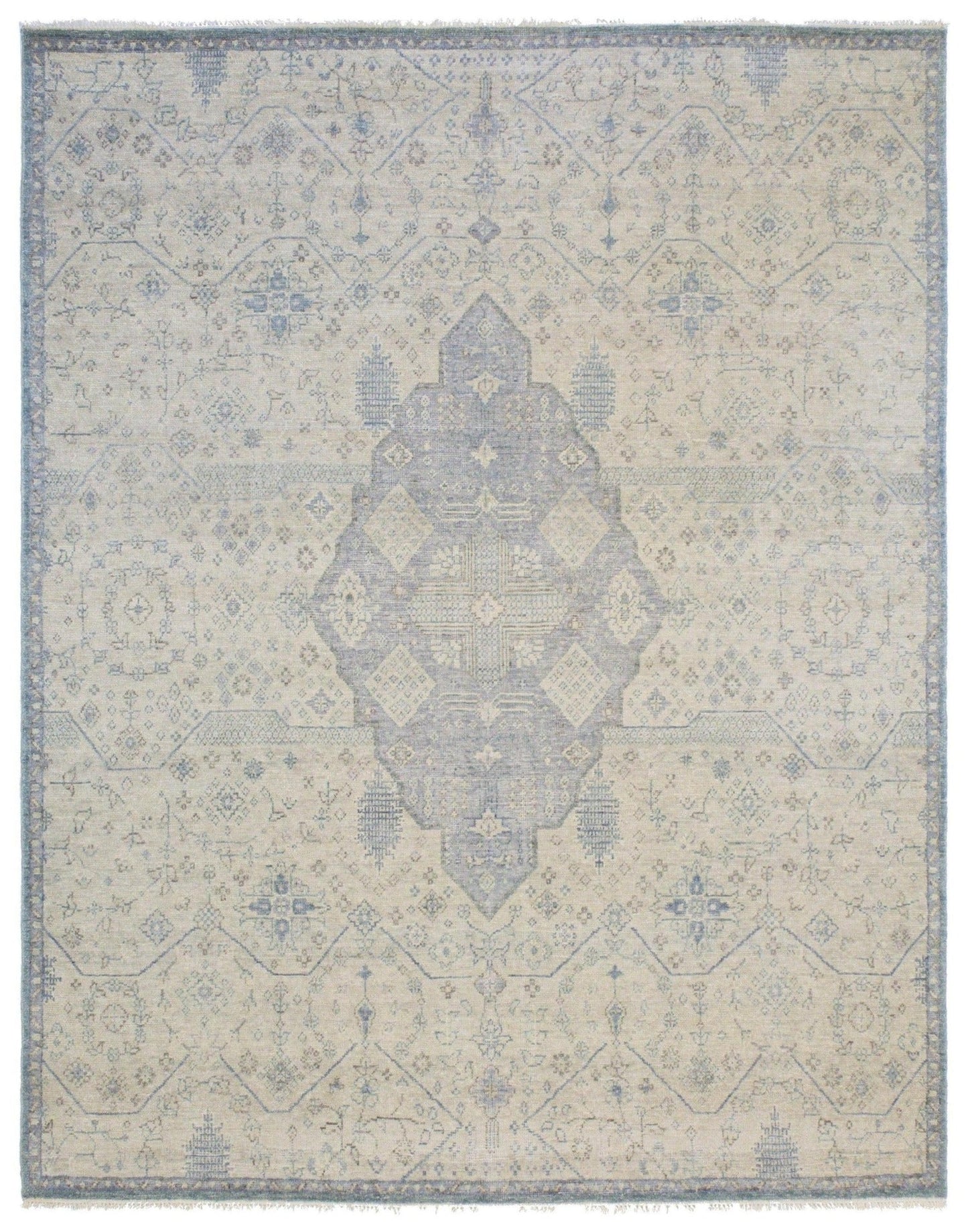 Joshaqan Handwoven Transitional Rug