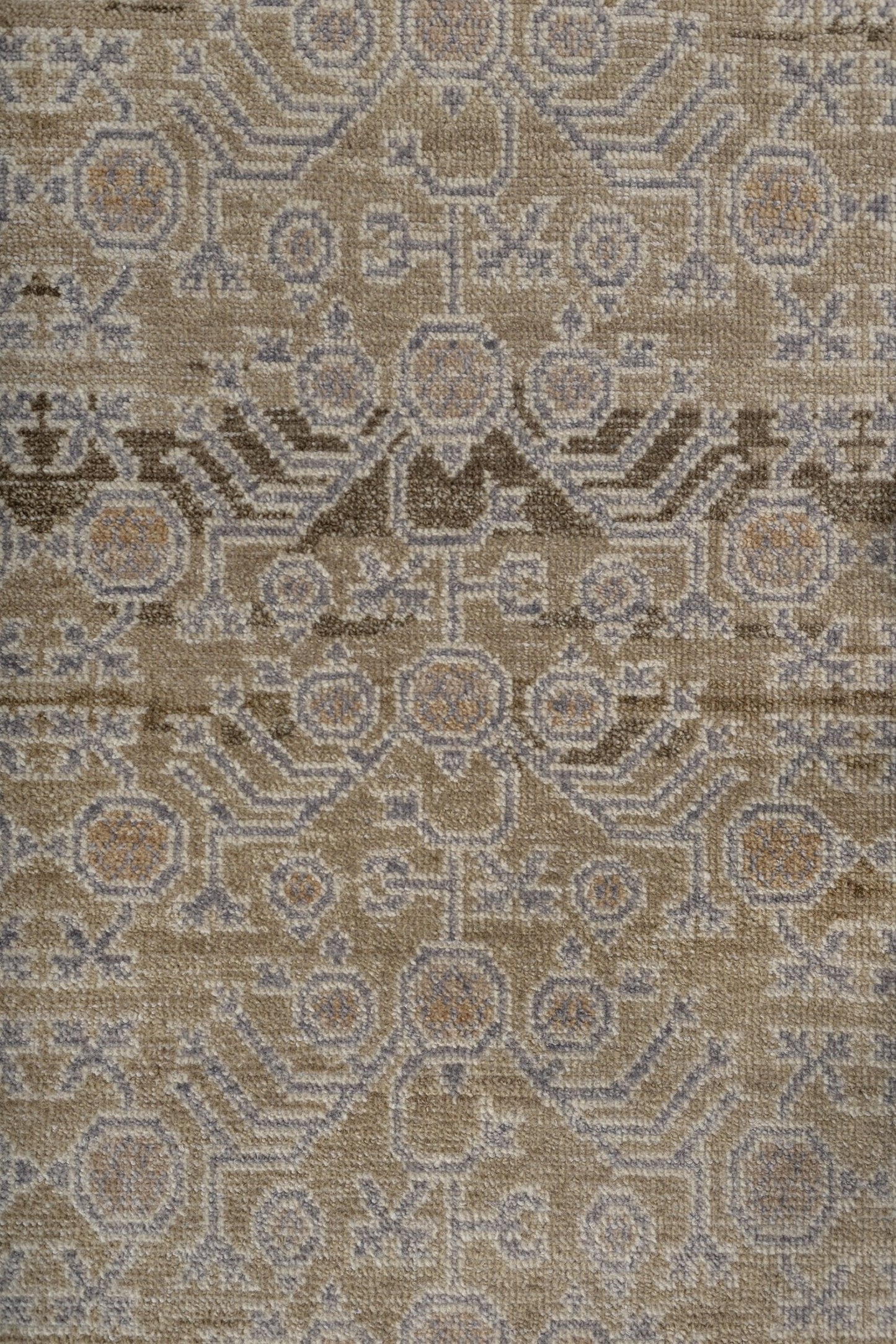 Khotan Handwoven Transitional Rug, J87558