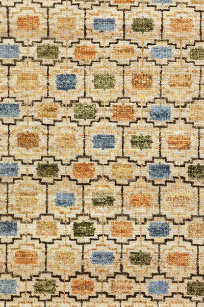 Kordi Handwoven Transitional Rug, J80612