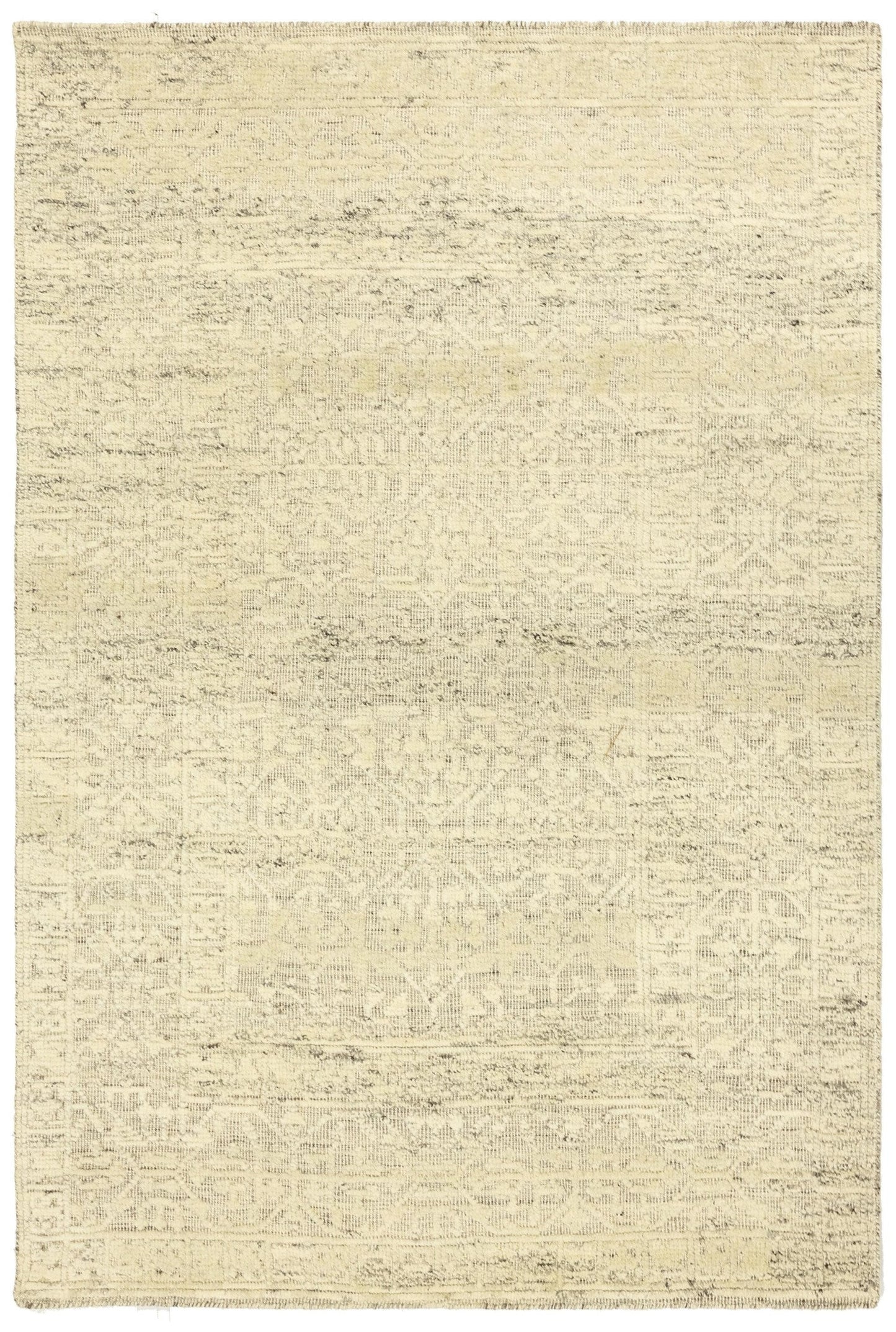 Mamluk High Low Handwoven Transitional Rug