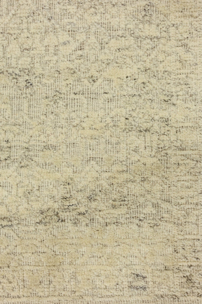 Mamluk High Low Handwoven Transitional Rug, J80870