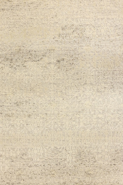 Mamluk High Low Handwoven Transitional Rug, J80902